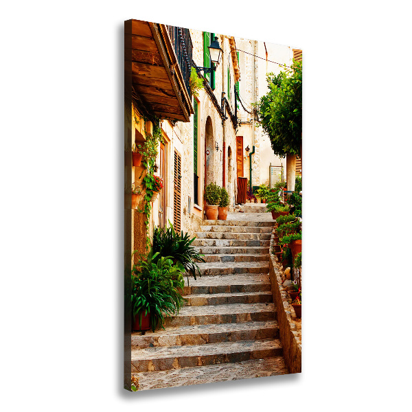 Quadro foto su tela verticale Strade in Spagna