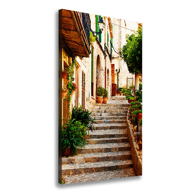 Quadro foto su tela verticale Strade in Spagna