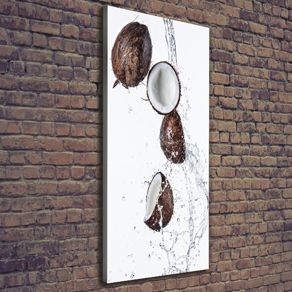 Stampa quadro su tela verticale Noce di cocco