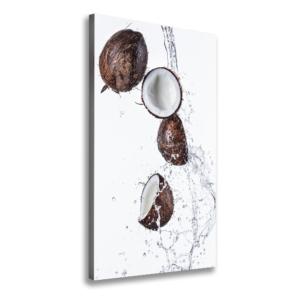 Stampa quadro su tela verticale Noce di cocco