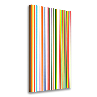 Quadro su tela canvas verticale Strisce colorate