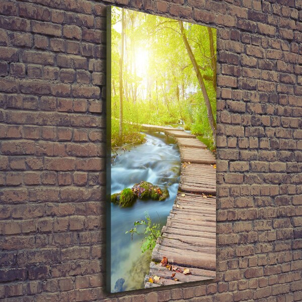 Quadro su tela canvas verticale Sentiero nella foresta