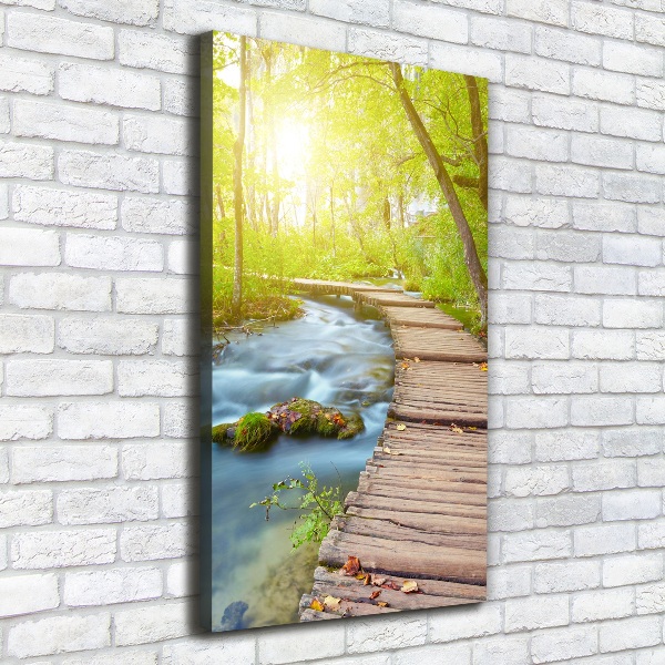 Quadro su tela canvas verticale Sentiero nella foresta