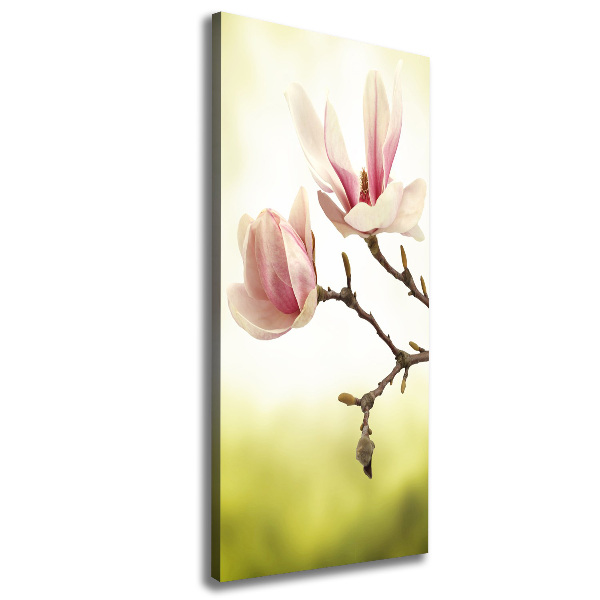 Quadro foto su tela verticale Fiori di magnolia