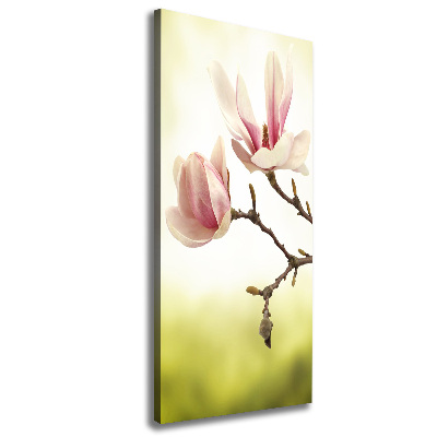 Quadro foto su tela verticale Fiori di magnolia