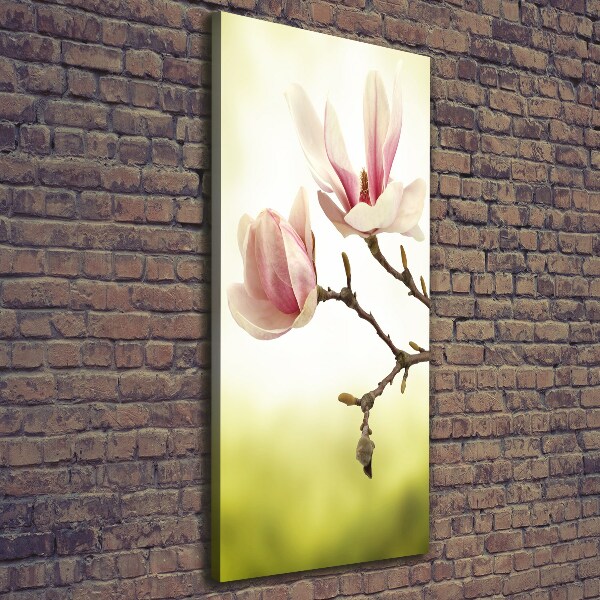 Quadro foto su tela verticale Fiori di magnolia