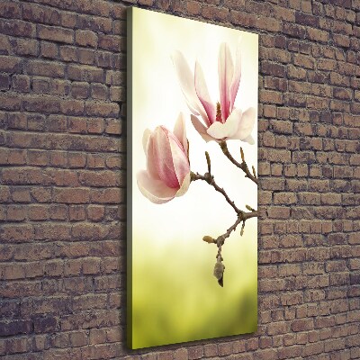 Quadro foto su tela verticale Fiori di magnolia
