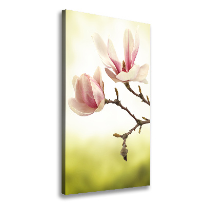 Quadro foto su tela verticale Fiori di magnolia