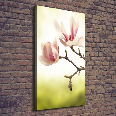 Quadro foto su tela verticale Fiori di magnolia