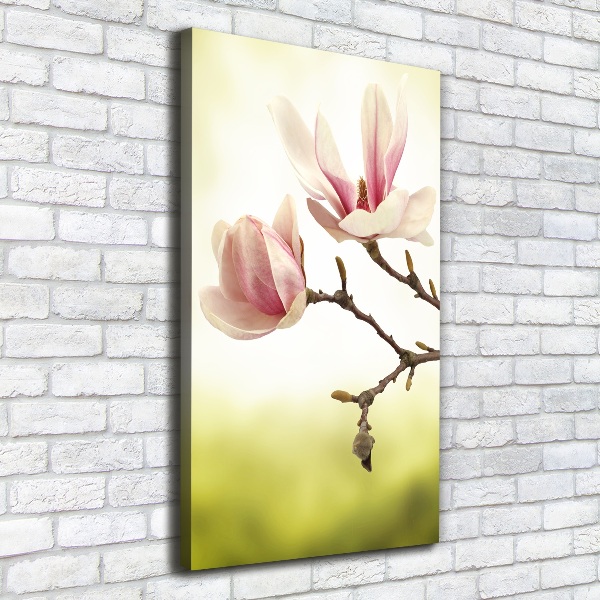 Quadro foto su tela verticale Fiori di magnolia