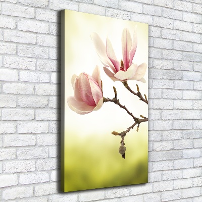 Quadro foto su tela verticale Fiori di magnolia