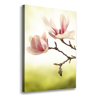 Quadro foto su tela verticale Fiori di magnolia