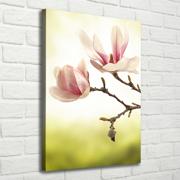 Quadro foto su tela verticale Fiori di magnolia