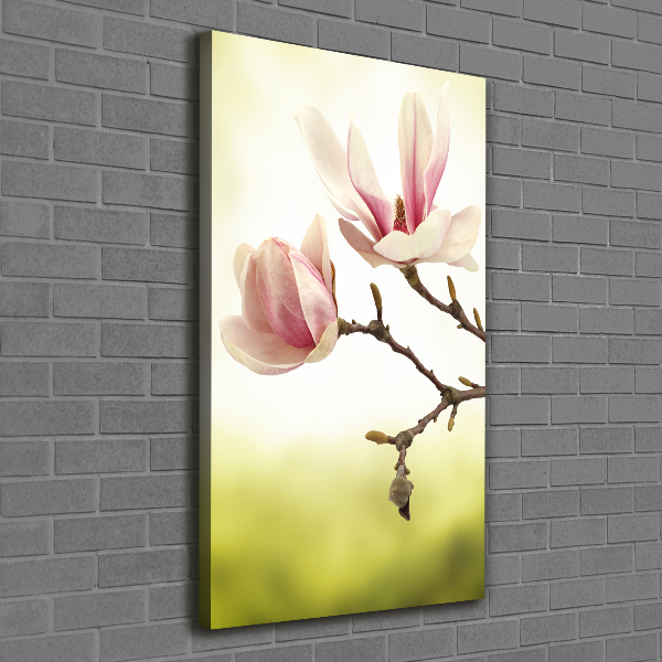 Quadro foto su tela verticale Fiori di magnolia