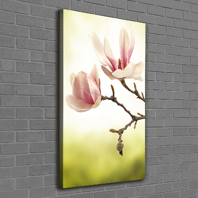Quadro foto su tela verticale Fiori di magnolia