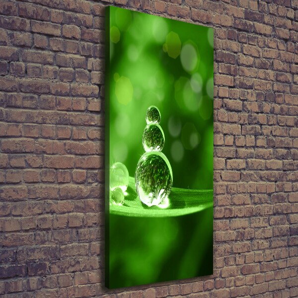 Quadro su tela canvas verticale Gocce sull'erba