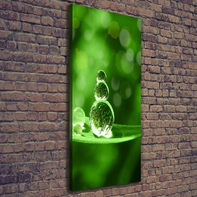 Quadro su tela canvas verticale Gocce sull'erba