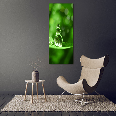 Quadro su tela canvas verticale Gocce sull'erba