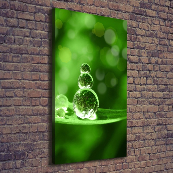 Quadro su tela canvas verticale Gocce sull'erba