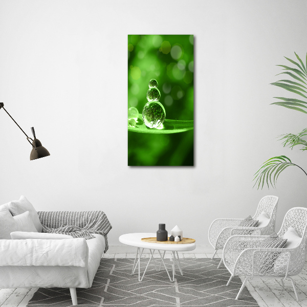 Quadro su tela canvas verticale Gocce sull'erba