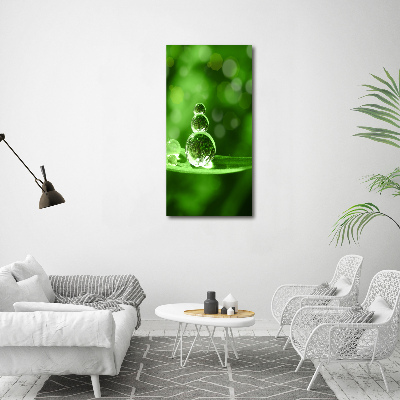 Quadro su tela canvas verticale Gocce sull'erba