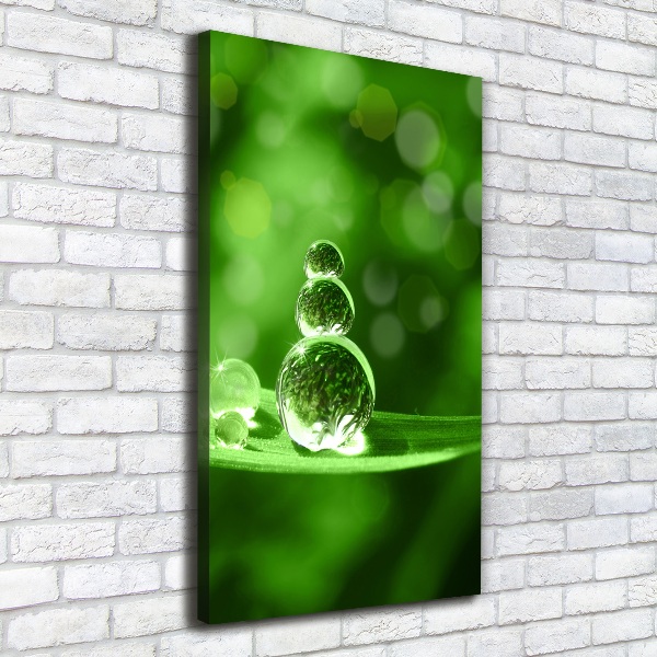 Quadro su tela canvas verticale Gocce sull'erba