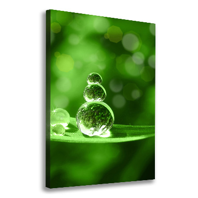 Quadro su tela canvas verticale Gocce sull'erba