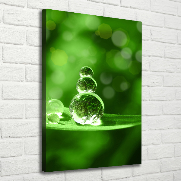 Quadro su tela canvas verticale Gocce sull'erba