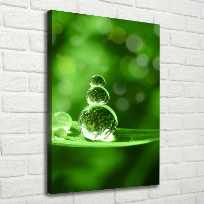 Quadro su tela canvas verticale Gocce sull'erba