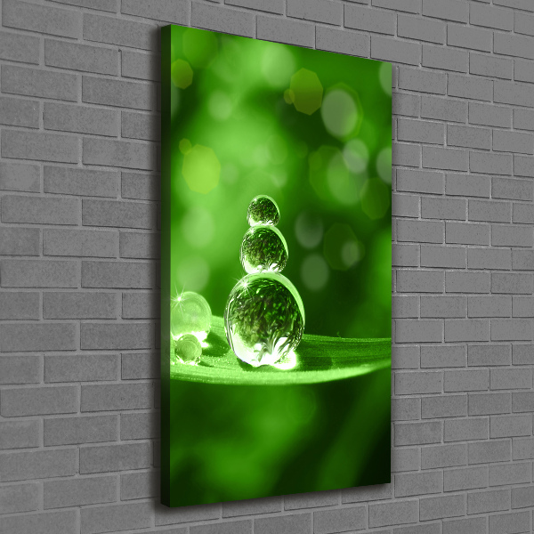 Quadro su tela canvas verticale Gocce sull'erba