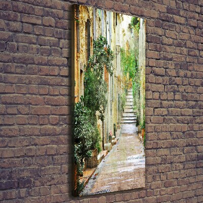 Stampa quadro su tela verticale Strade italiane