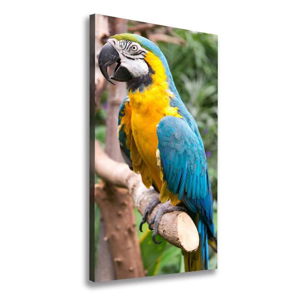 Stampa quadro su tela verticale Ara Pappagallo