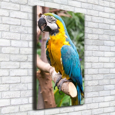 Stampa quadro su tela verticale Ara Pappagallo