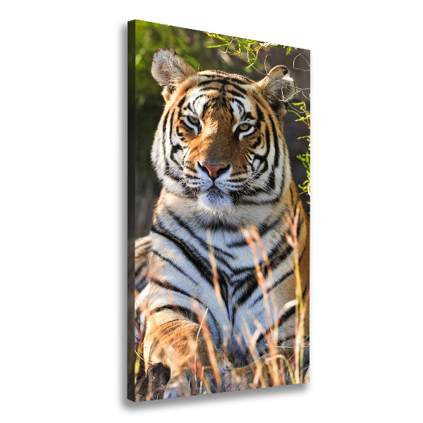 Quadro su tela canvas verticale Tigre
