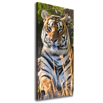 Quadro su tela canvas verticale Tigre