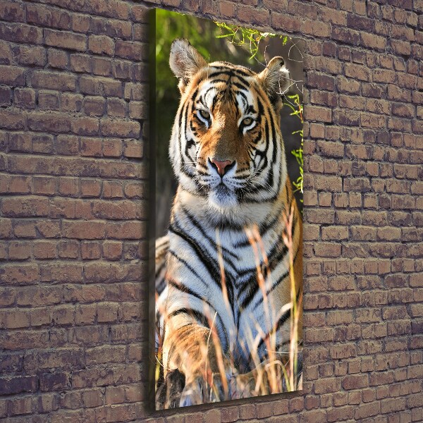 Quadro su tela canvas verticale Tigre