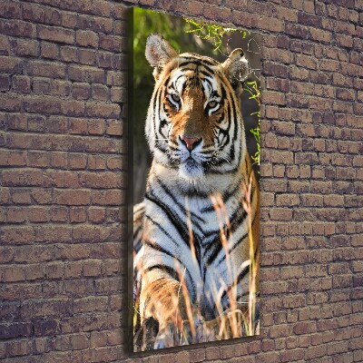 Quadro su tela canvas verticale Tigre