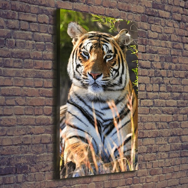 Quadro su tela canvas verticale Tigre