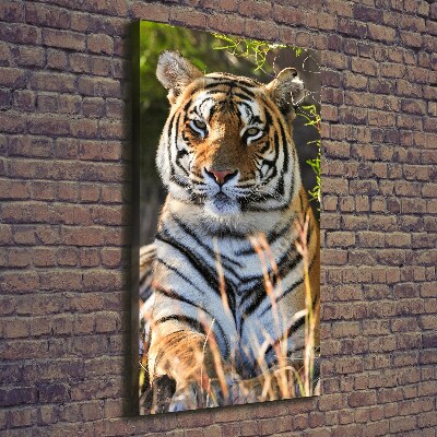 Quadro su tela canvas verticale Tigre