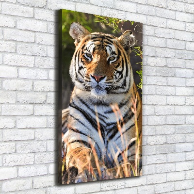 Quadro su tela canvas verticale Tigre