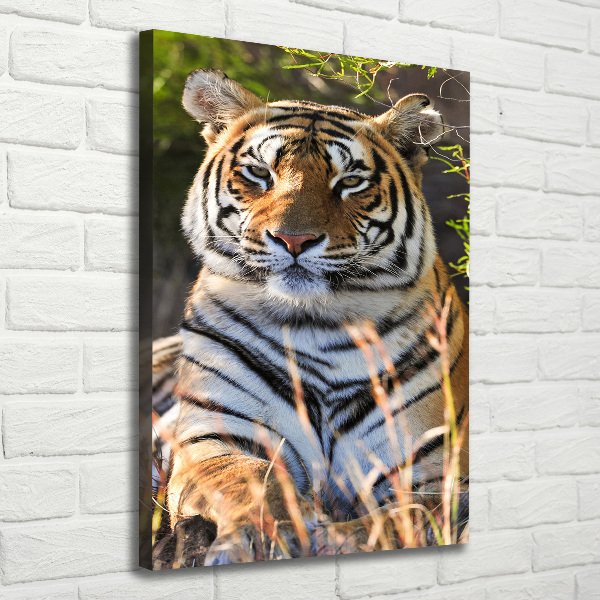 Quadro su tela canvas verticale Tigre