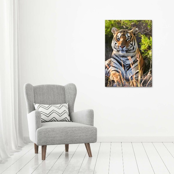 Quadro su tela canvas verticale Tigre
