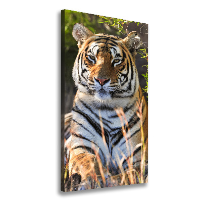 Quadro su tela canvas verticale Tigre