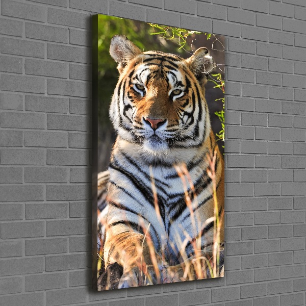 Quadro su tela canvas verticale Tigre