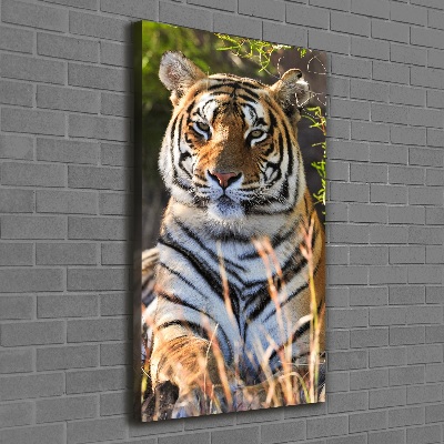 Quadro su tela canvas verticale Tigre