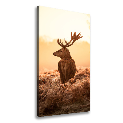 Stampa quadro su tela verticale Alba di cervo