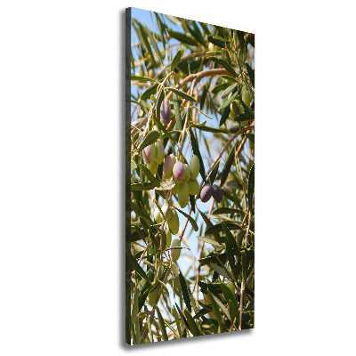 Stampa quadro su tela verticale Olive sull'albero