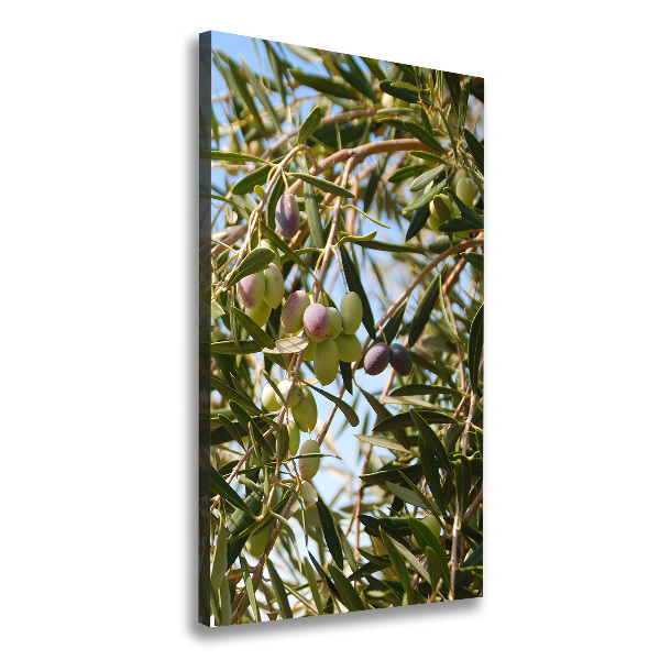 Stampa quadro su tela verticale Olive sull'albero