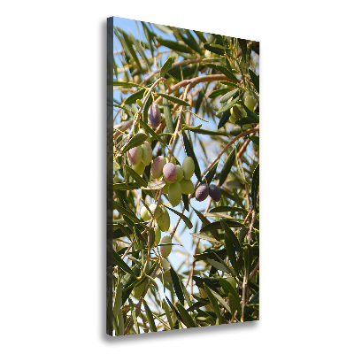 Stampa quadro su tela verticale Olive sull'albero