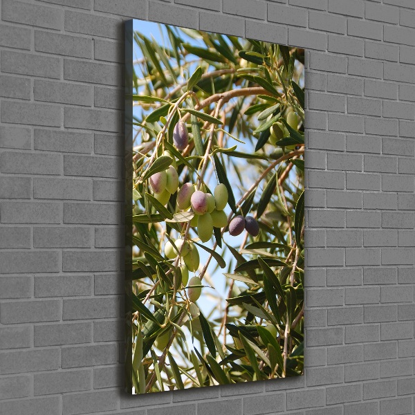 Stampa quadro su tela verticale Olive sull'albero